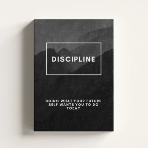 discipline vertical